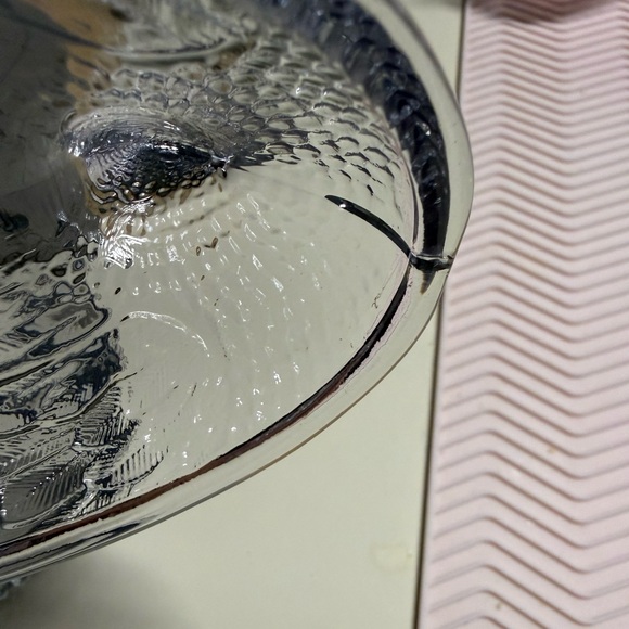 Rose’s Closet Smoke (gray) hen on nest with original box *Callouts* - Picture 9 of 13